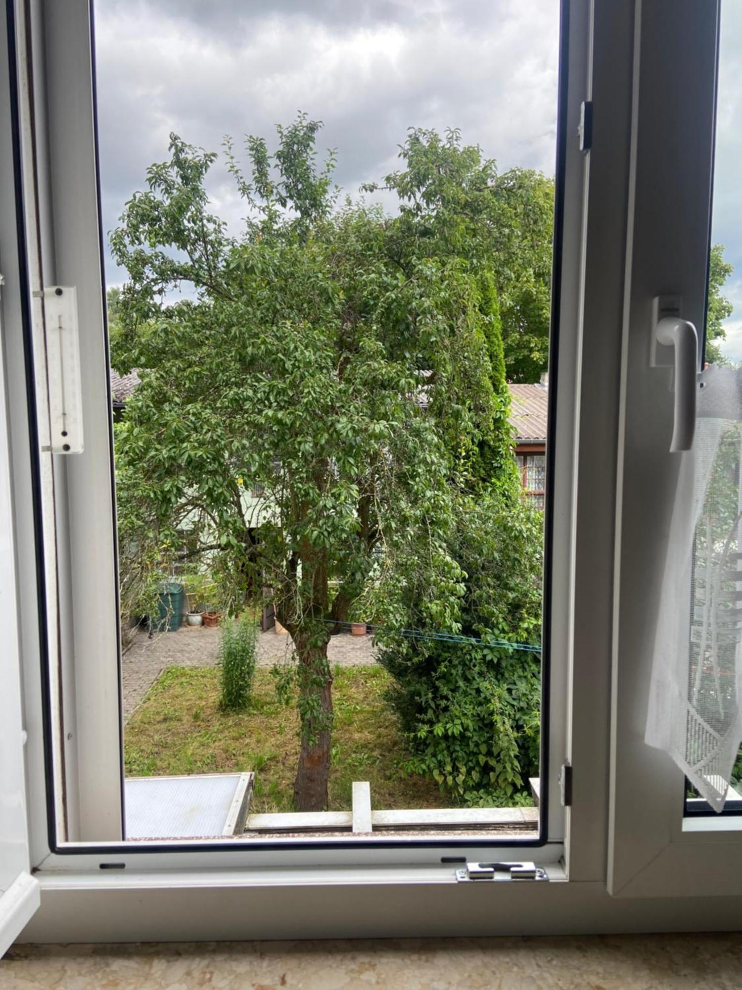 Stadtzentrumnahe Wohnung An Der Gruenen Aue, Kostenfreier Parkplatz ฟุลดา ภายนอก รูปภาพ